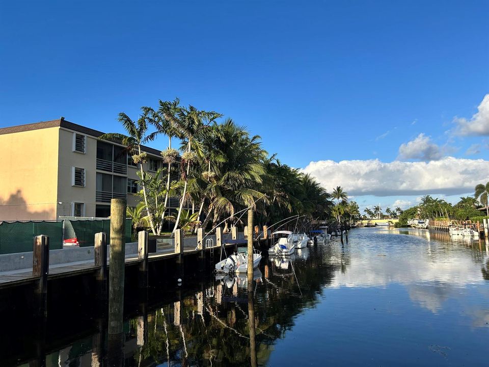 common dock