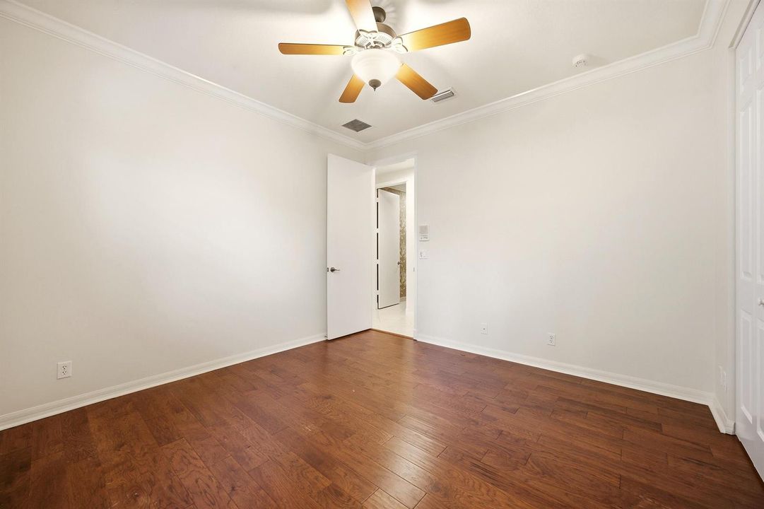 41_453a1684