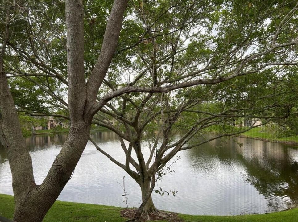 lake view