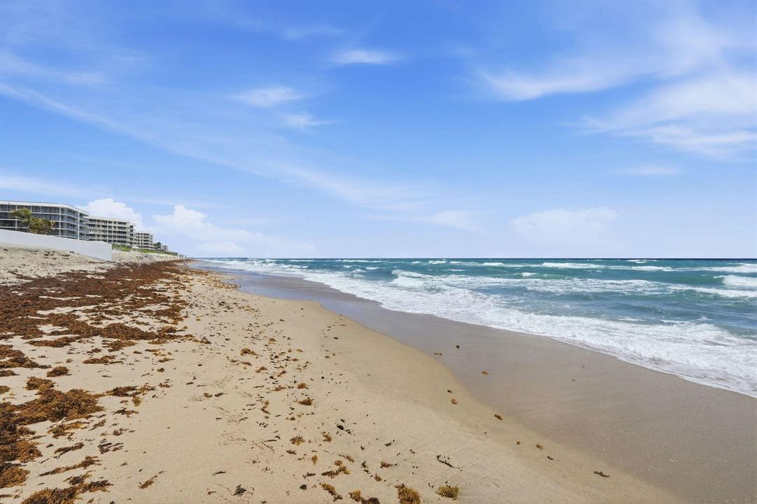 35-web-or-mls-3540_S_Ocean_Blvd_APT_310_
