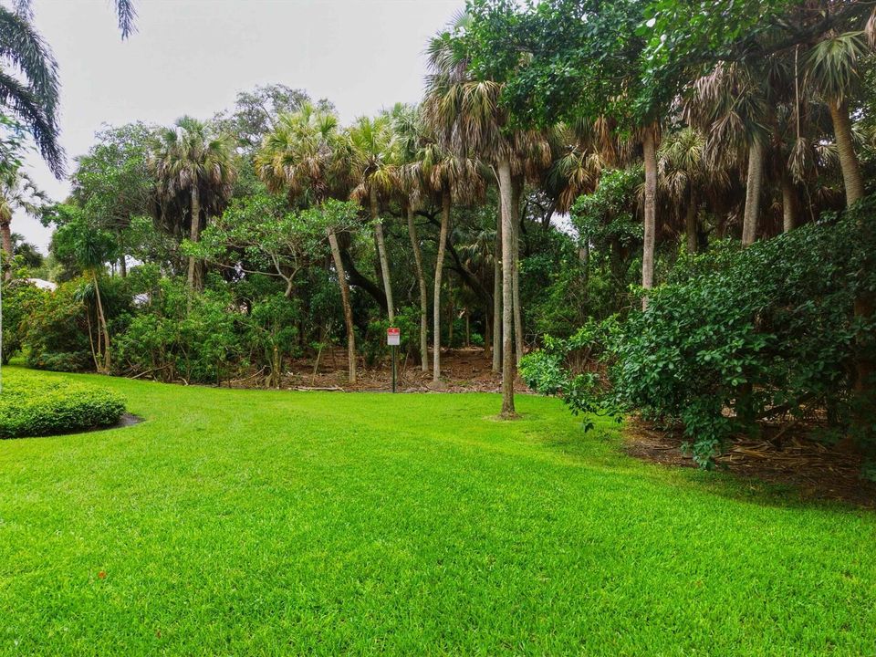 Preserve Behind Community Pool