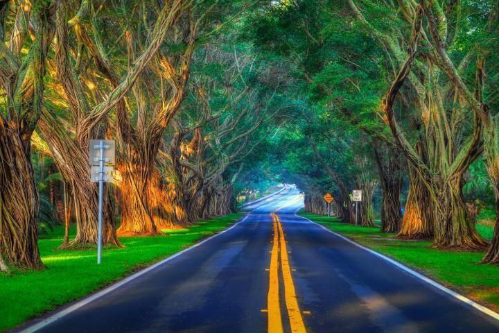 beautiful Bridge Road