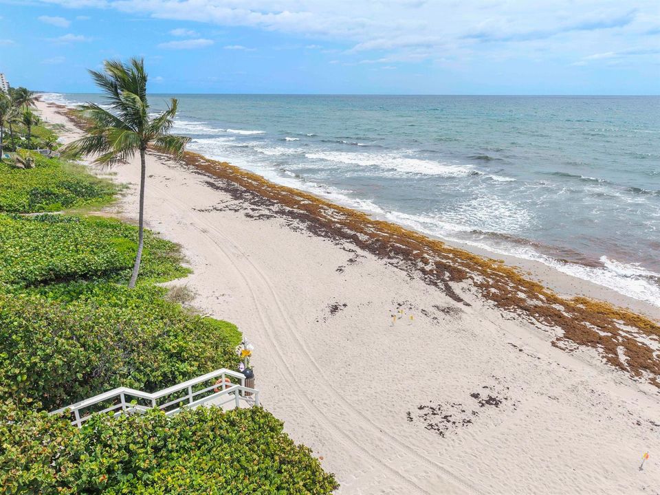 3596 S Ocean Blvd u102 V2_018