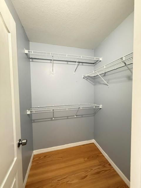 Primary Walk-in Closet