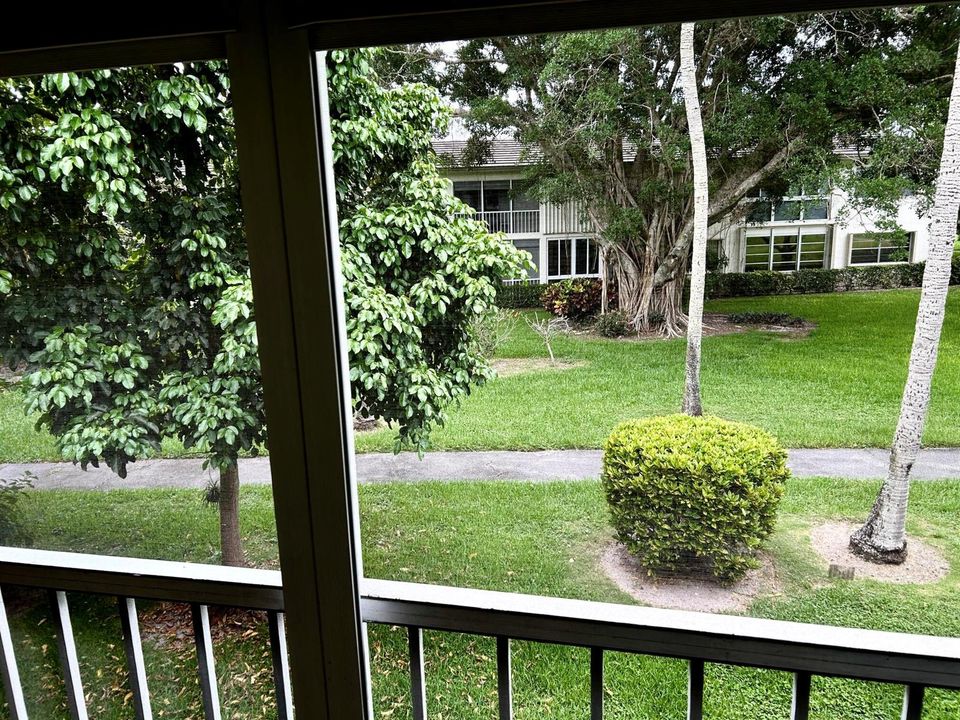 VIEW FROM PATIO