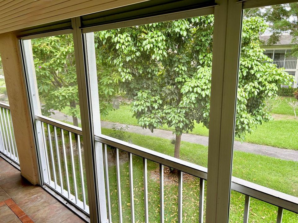 VIEW FROM PATIO
