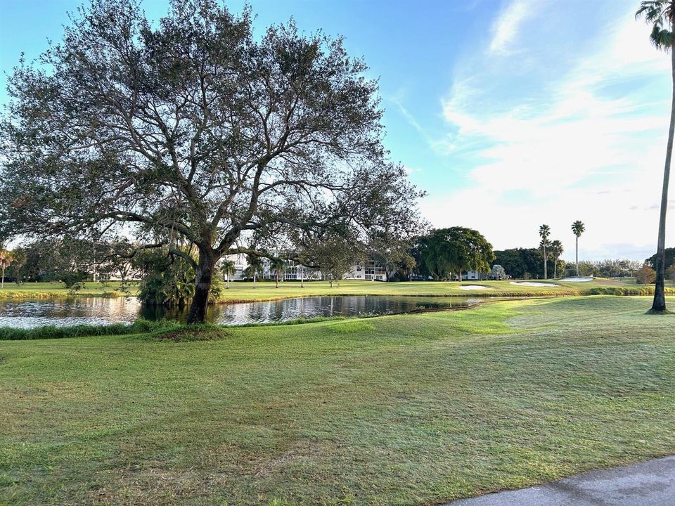 GOLF COURSE