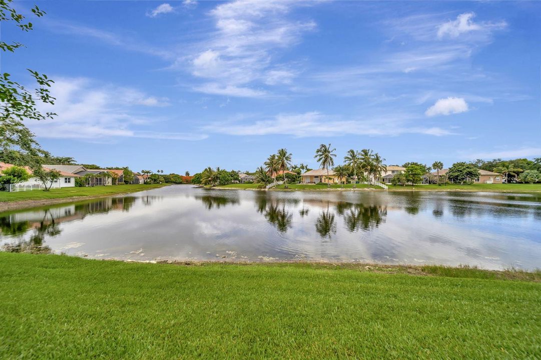 56-web-or-mls-DSC09017