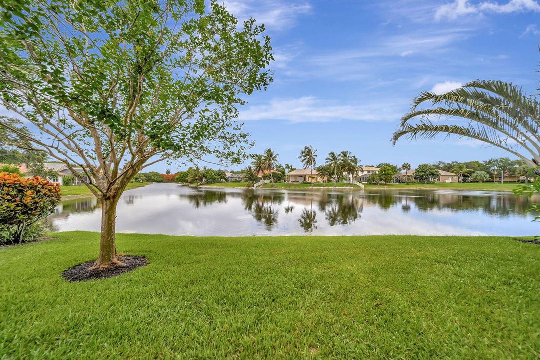 52-web-or-mls-DSC09005