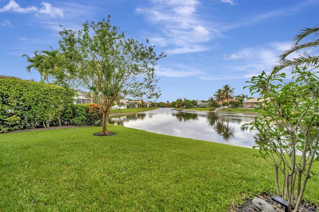 53-web-or-mls-DSC09008