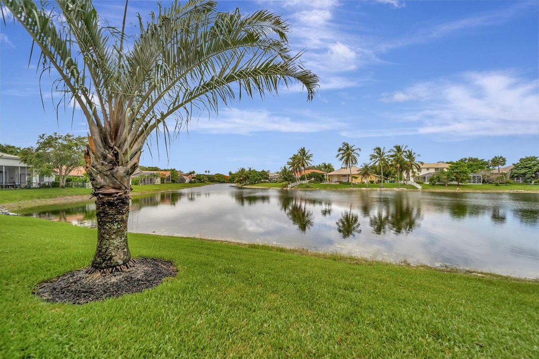 57-web-or-mls-DSC09020