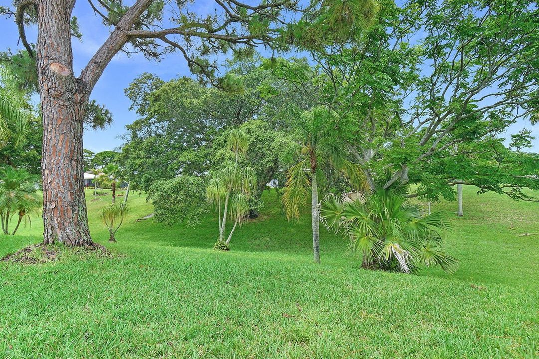 9-web-or-mls-500_7024