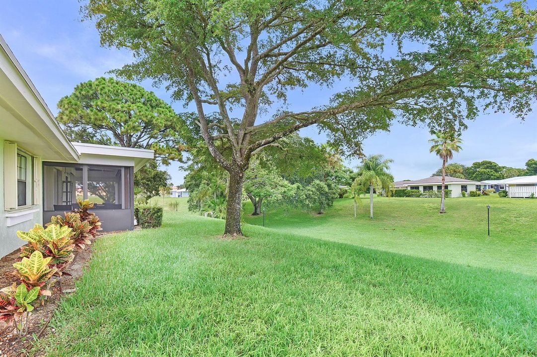 13-web-or-mls-500_7047
