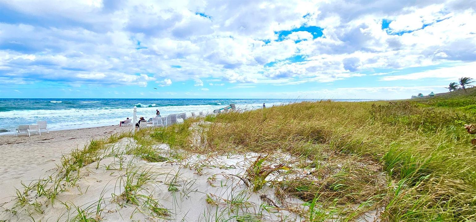 ATTENDED PRIVATE BEACHES