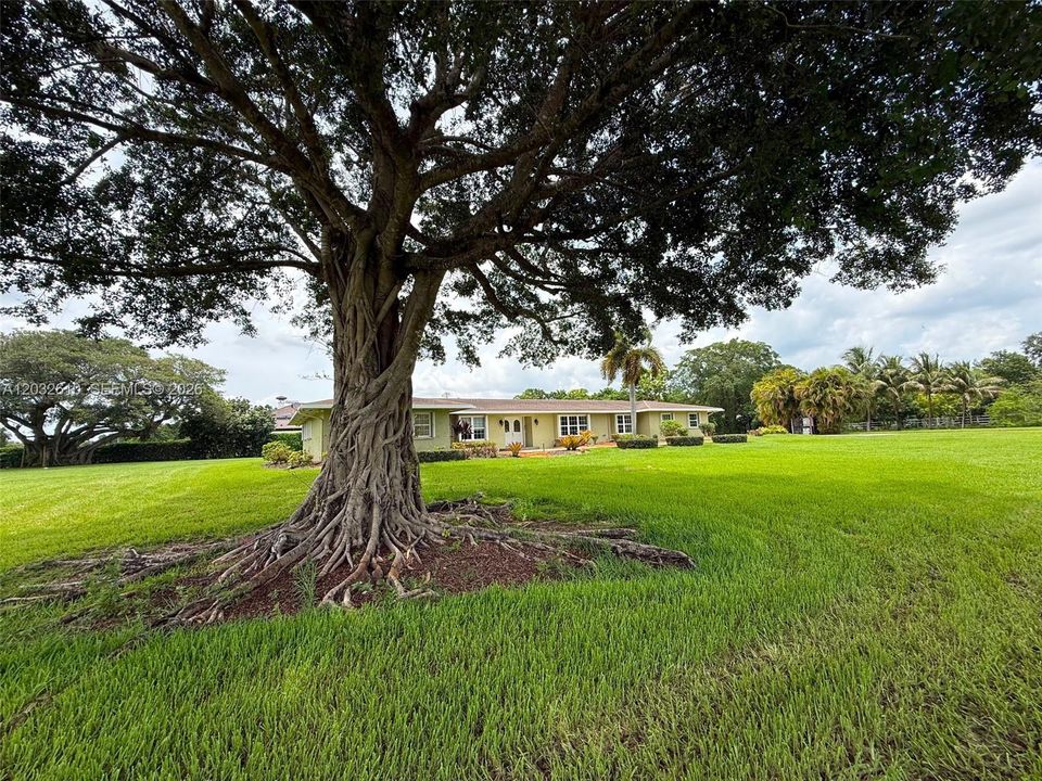 For Rent: $9,500 (4 beds, 3 baths, 2957 Square Feet)