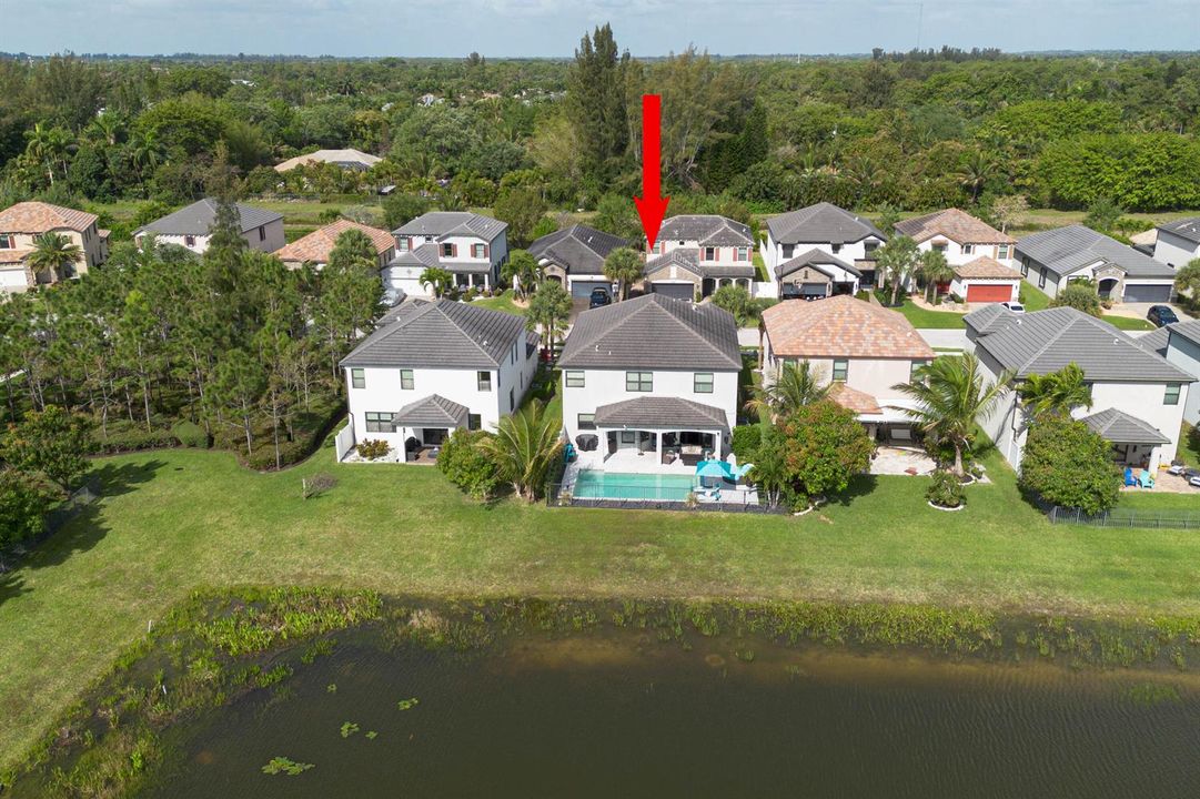Lake Views