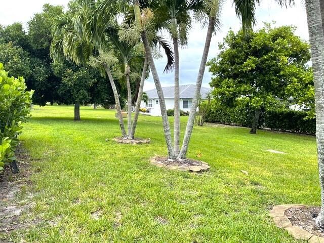 Backyard view 1