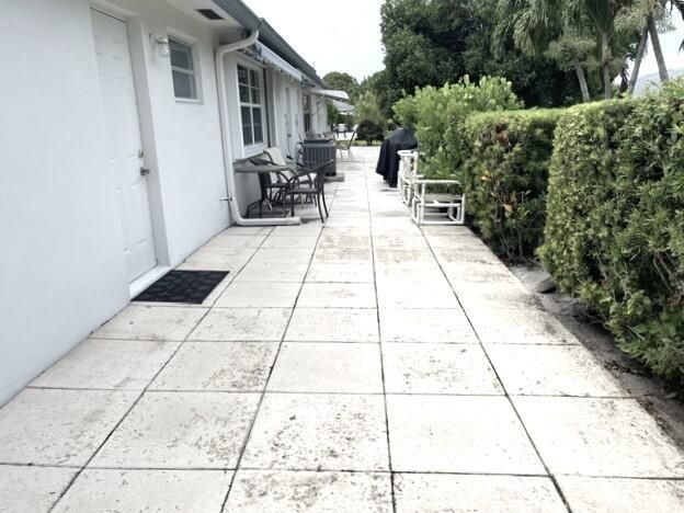 back yard view 2