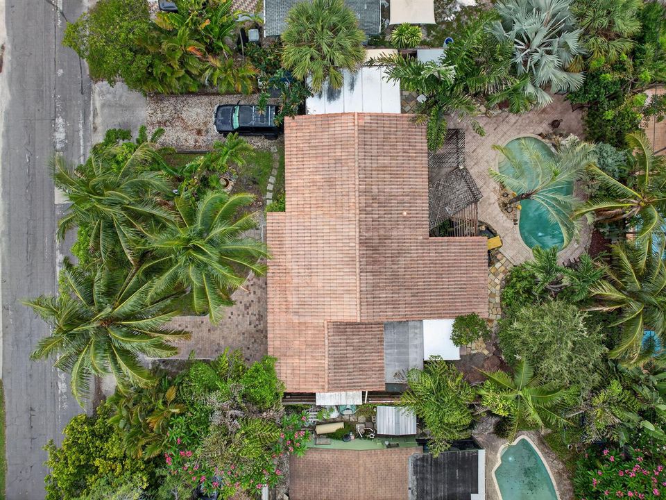 DJI_0413