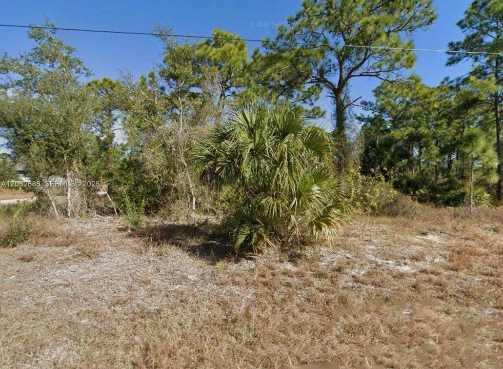 For Sale: $29,000 (11,125.00 acres)