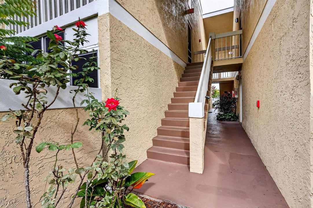 4-web-or-mls-5P1A6086
