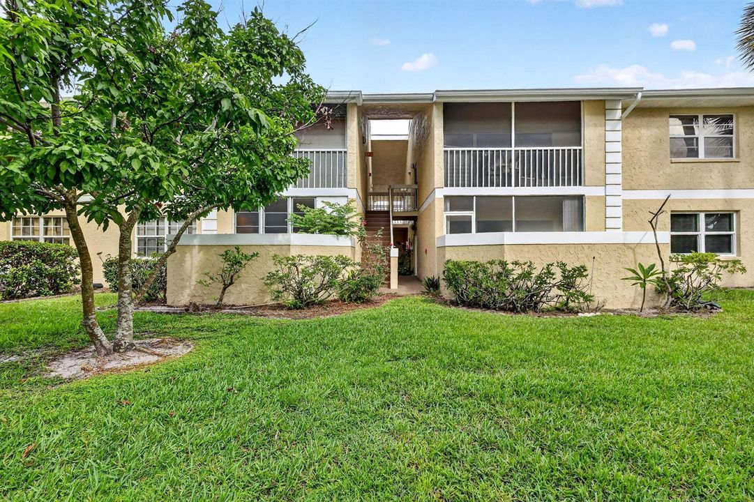 35-web-or-mls-5P1A6091