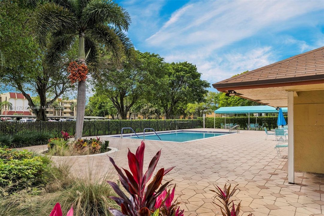 Pool Area 23380