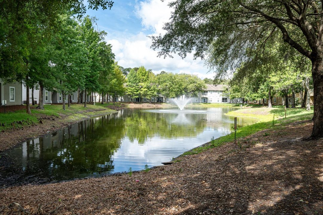 Amenity Waterview