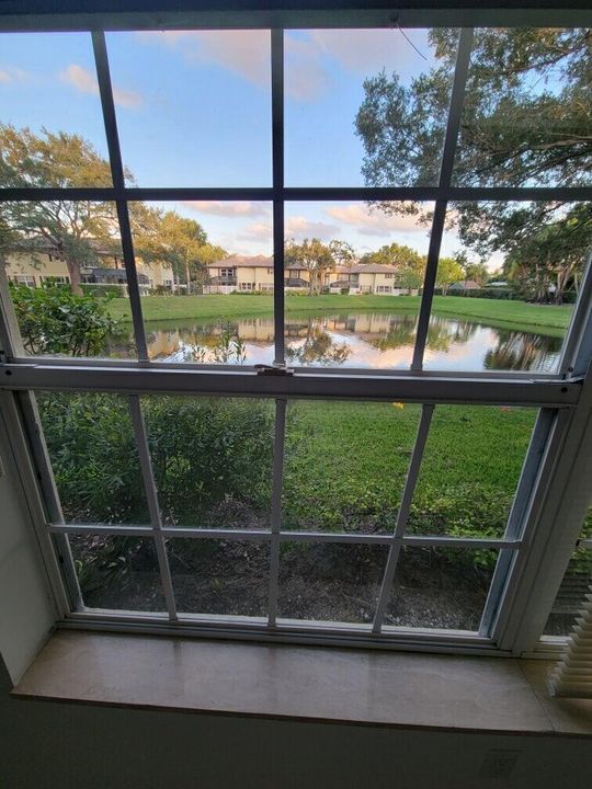 Window view