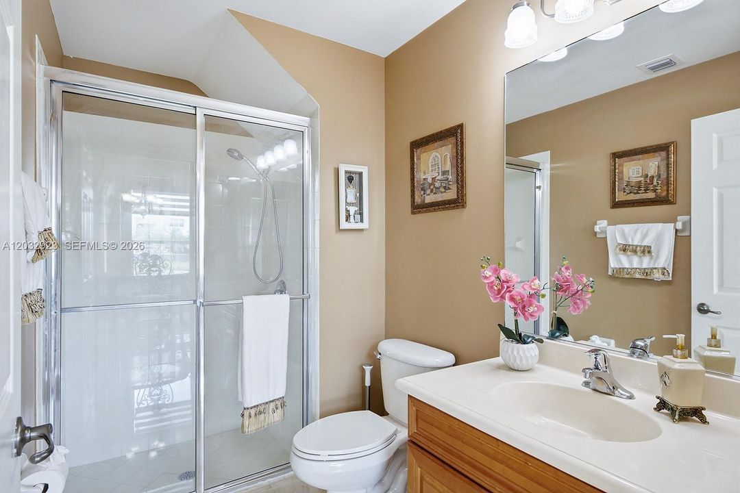 Guest Bathroom downstairs