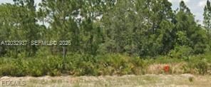 For Sale: $12,900 (0.23 acres)