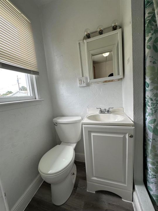 image6 (3)