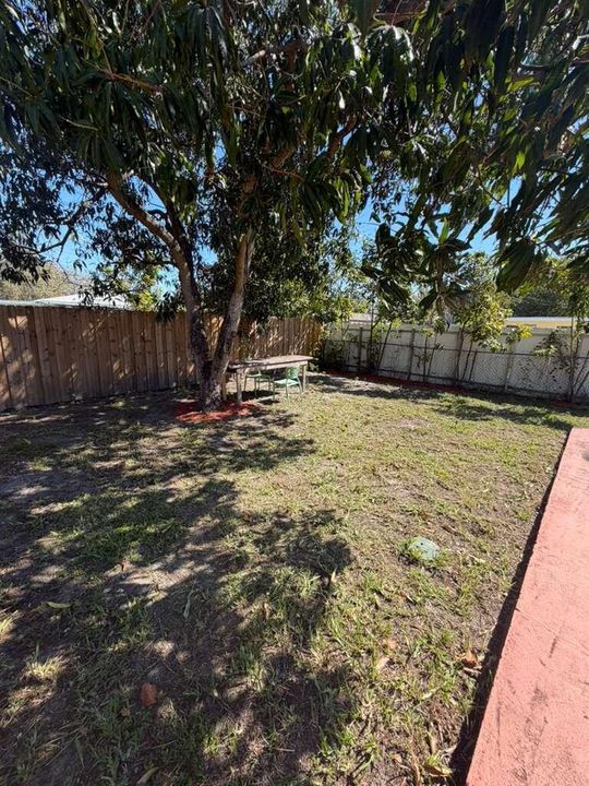 PHOTO-2026-05-05-17-18-31patio