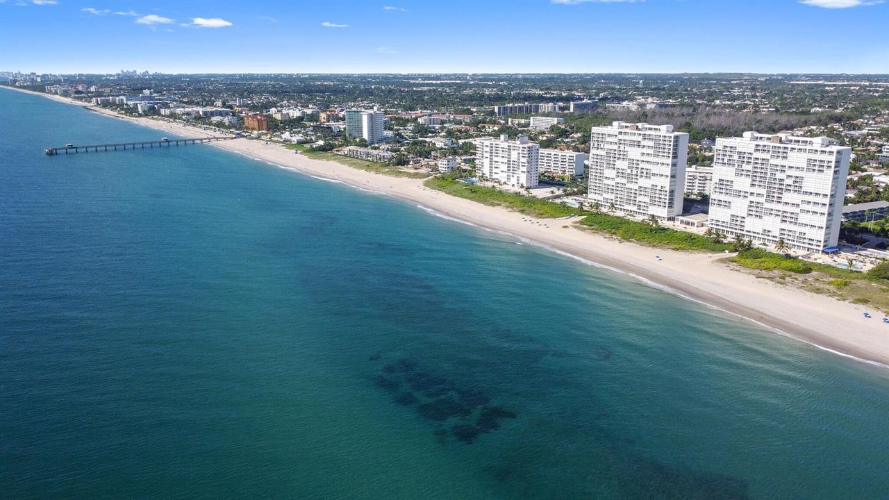 Ocean Towers