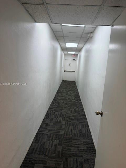 Hall to Back door