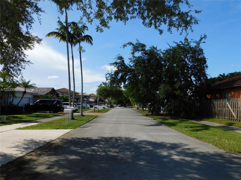 North street view.