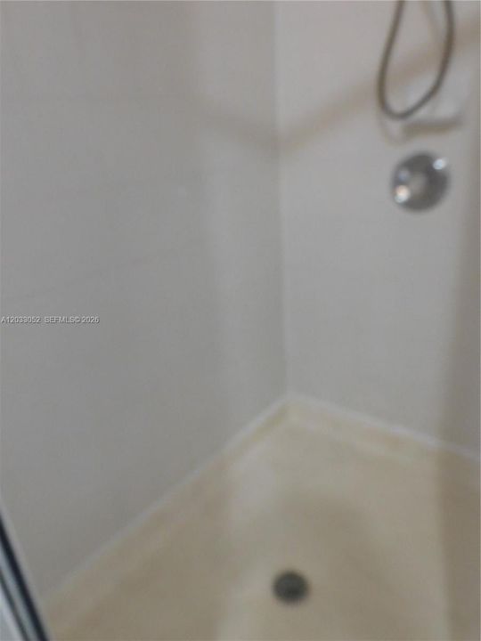 Walk-in shower.