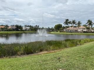 Lake view