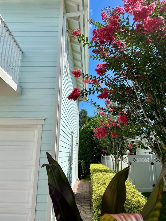 Private Walkway