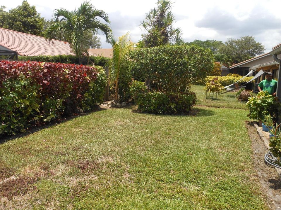 Back Yard View