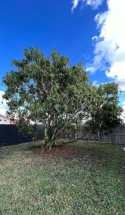 For Sale: $774,900 (4 beds, 2 baths, 2247 Square Feet)