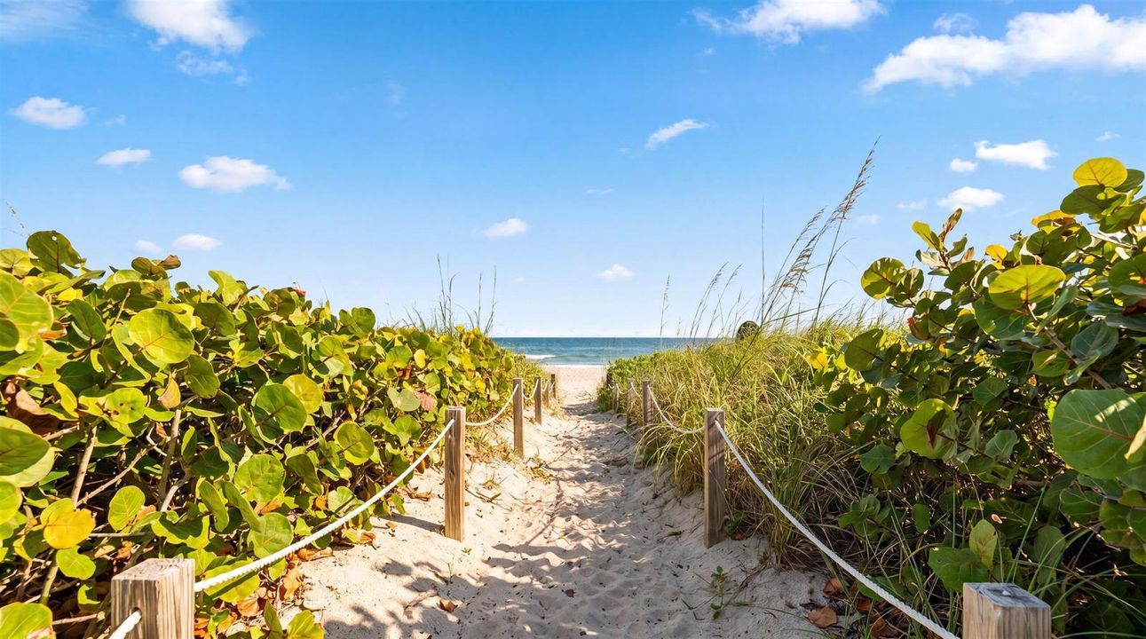 20-2774 S Ocean Blvd #206