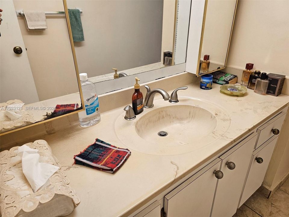 Guest bath vanity