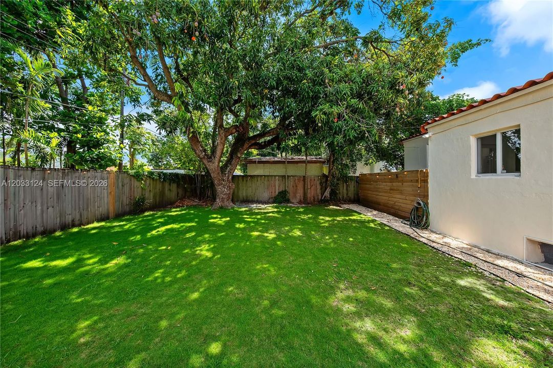 Large yard with mango tree and deck