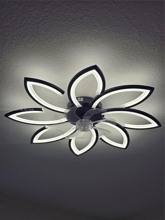 This is the decorative light & fan for the 3rd bedroom