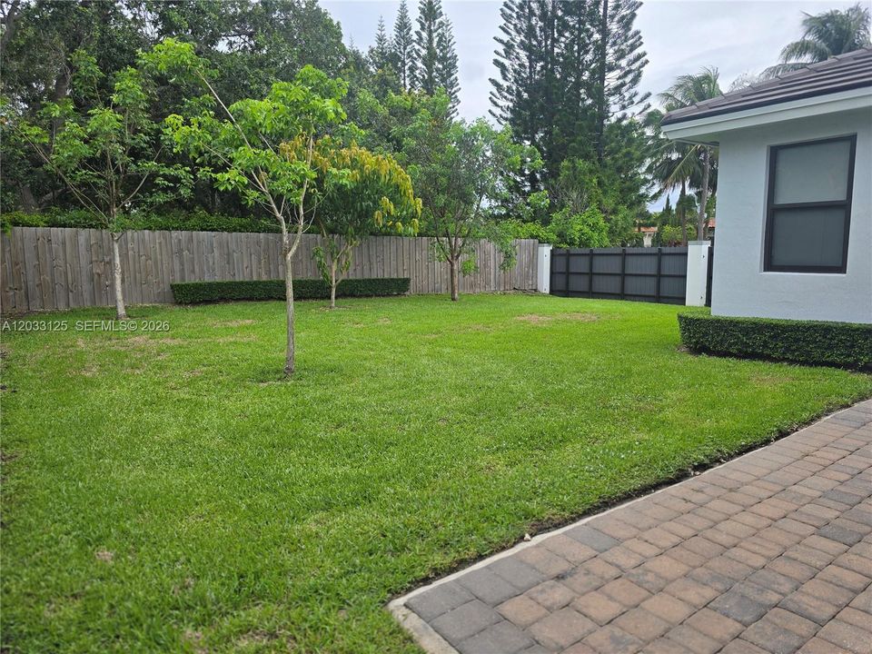View of Backyard from back Patio