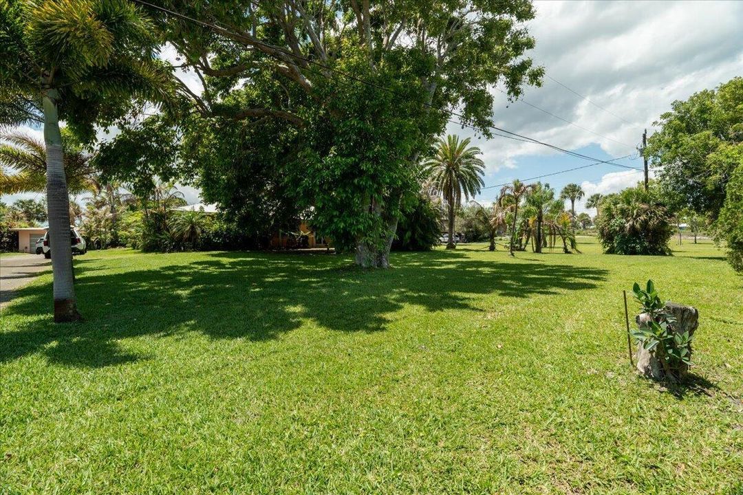 Front yard