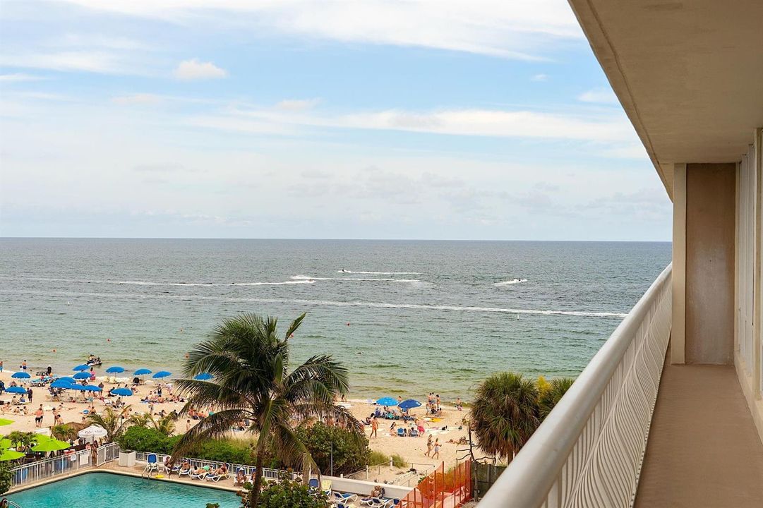 Northeast Ocean View
