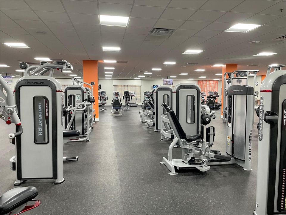 gym