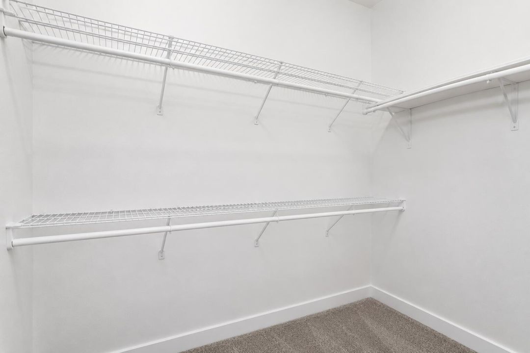 image0 (1)